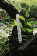 今韵当归茉莉润唇膏，一款真正健康又好用的润唇膏